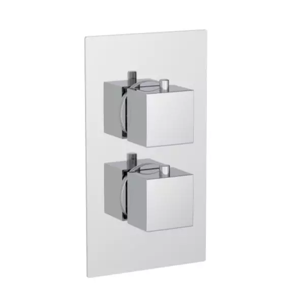 Twin Square Handle, 1 Outlet Concealed Valve