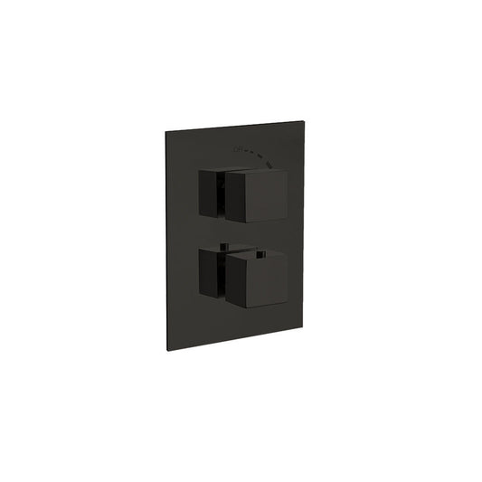 Twin Square Handle, 1 Outlet Concealed Valve Matt Black