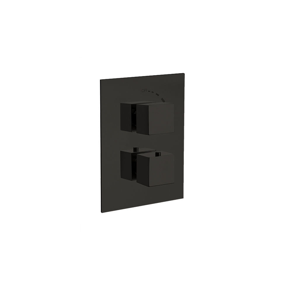 Twin Square Handle, 2 Outlet Concealed Valve Matt Black