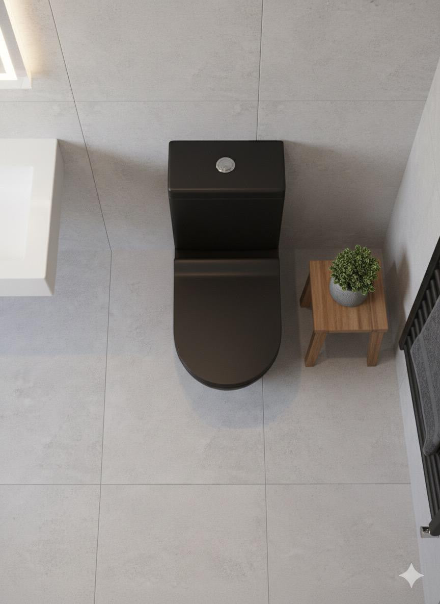 Raven Rimless round Close Coupled Toilet & Soft Close Seat Matt Black 370w x390h x620d