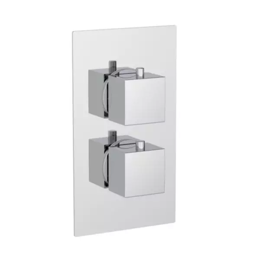 Twin Square Handle, 1 Outlet Concealed Valve