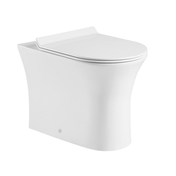 Haven Rimless Back to Wall Pan & Soft Close Seat 370w x 430h x 480d - White