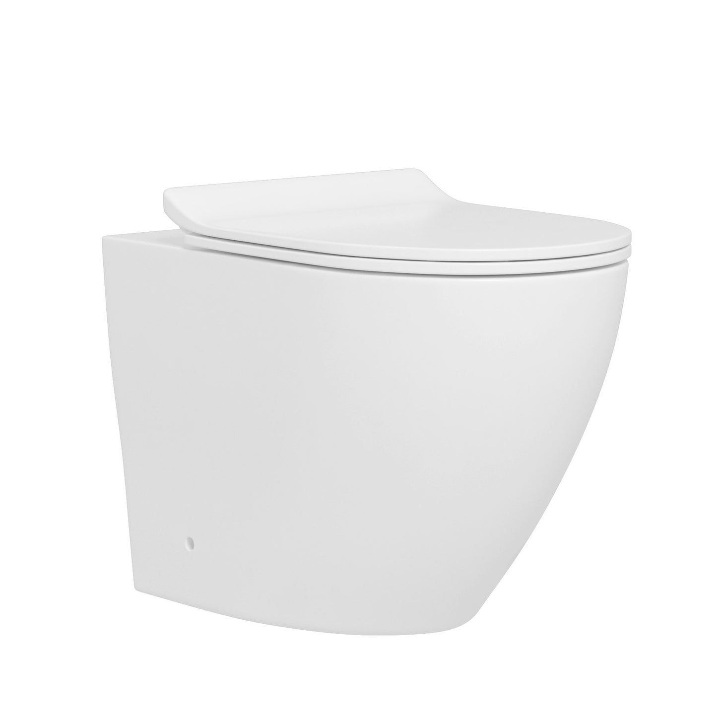 Delta Rimless Comfort Height Back to Wall Pan & Soft Close Seat 365w x440h x570d